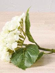 Pacific White Hydrangea Pack of 3 - Image 3 of 6