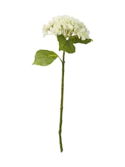 Pacific White Hydrangea Pack of 3 - Image 4 of 6