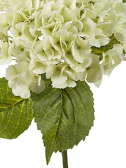 Pacific White Hydrangea Pack of 3 - Image 5 of 6