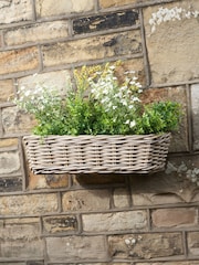 Pacific Grey Large Tobs Rattan Wall Hanging Trough - Image 1 of 6