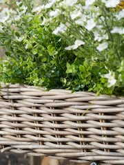 Pacific Grey Large Tobs Rattan Wall Hanging Trough - Image 3 of 6