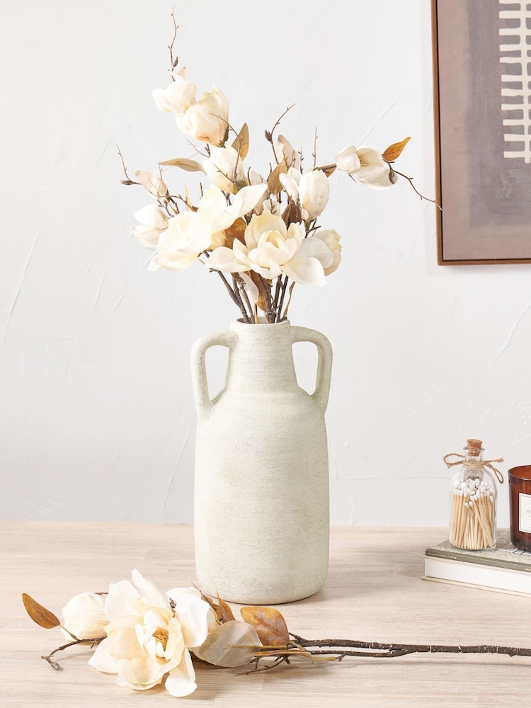 Pacific Cream Magnolia Pack of 6 - Image 1 of 6