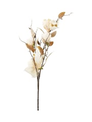 Pacific Cream Magnolia Pack of 6 - Image 4 of 6