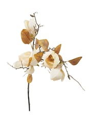 Pacific Cream Magnolia Pack of 6 - Image 5 of 6