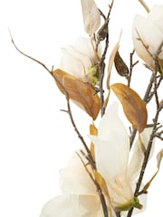 Pacific Cream Magnolia Pack of 6 - Image 6 of 6