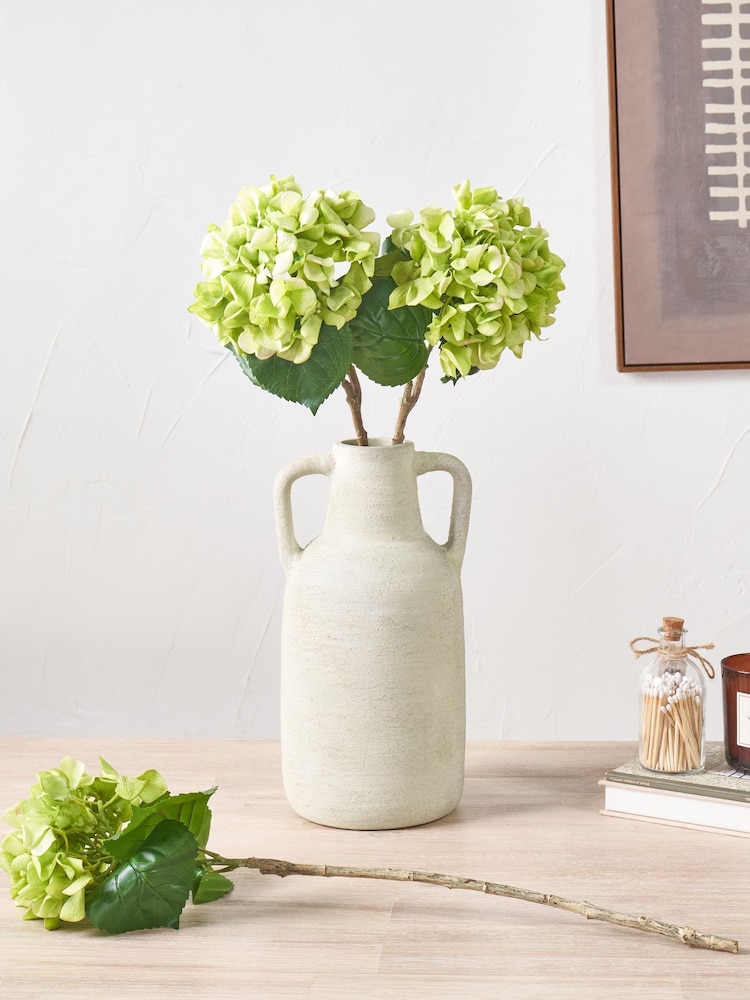 Pacific Green Hydrangea Pack of 6 - Image 1 of 7 Pacific Green Hydrangea Pack of 6 - Image 1 of 7