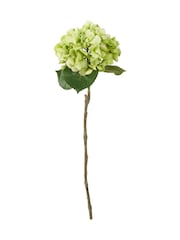 Pacific Green Hydrangea Pack of 6 - Image 4 of 7
