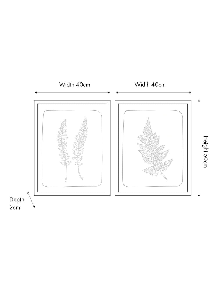 Pacific Green S/2 Fern Canvas Wall Art - Image 5 of 5