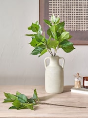 Pacific Green Hydrangea Leafs Pack of 6 - Image 1 of 6