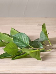 Pacific Green Hydrangea Leafs Pack of 6 - Image 3 of 6
