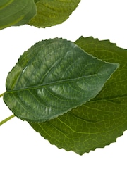 Pacific Green Hydrangea Leafs Pack of 6 - Image 5 of 6