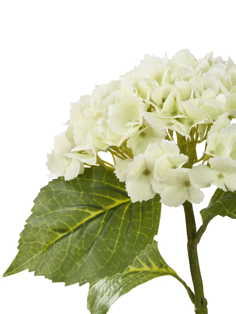 Pacific 6 Pack White Hydrangea Stems - Image 12 of 12