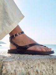 Russell & Bromley Brown Spey Toe Loop Sandals - Image 1 of 8