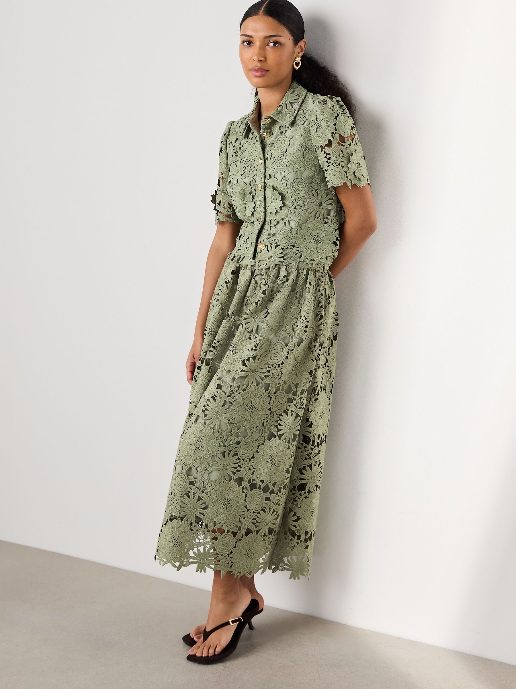 Buy Sage Green N. Premium Occasion Floral Lace Short Sleeve Top