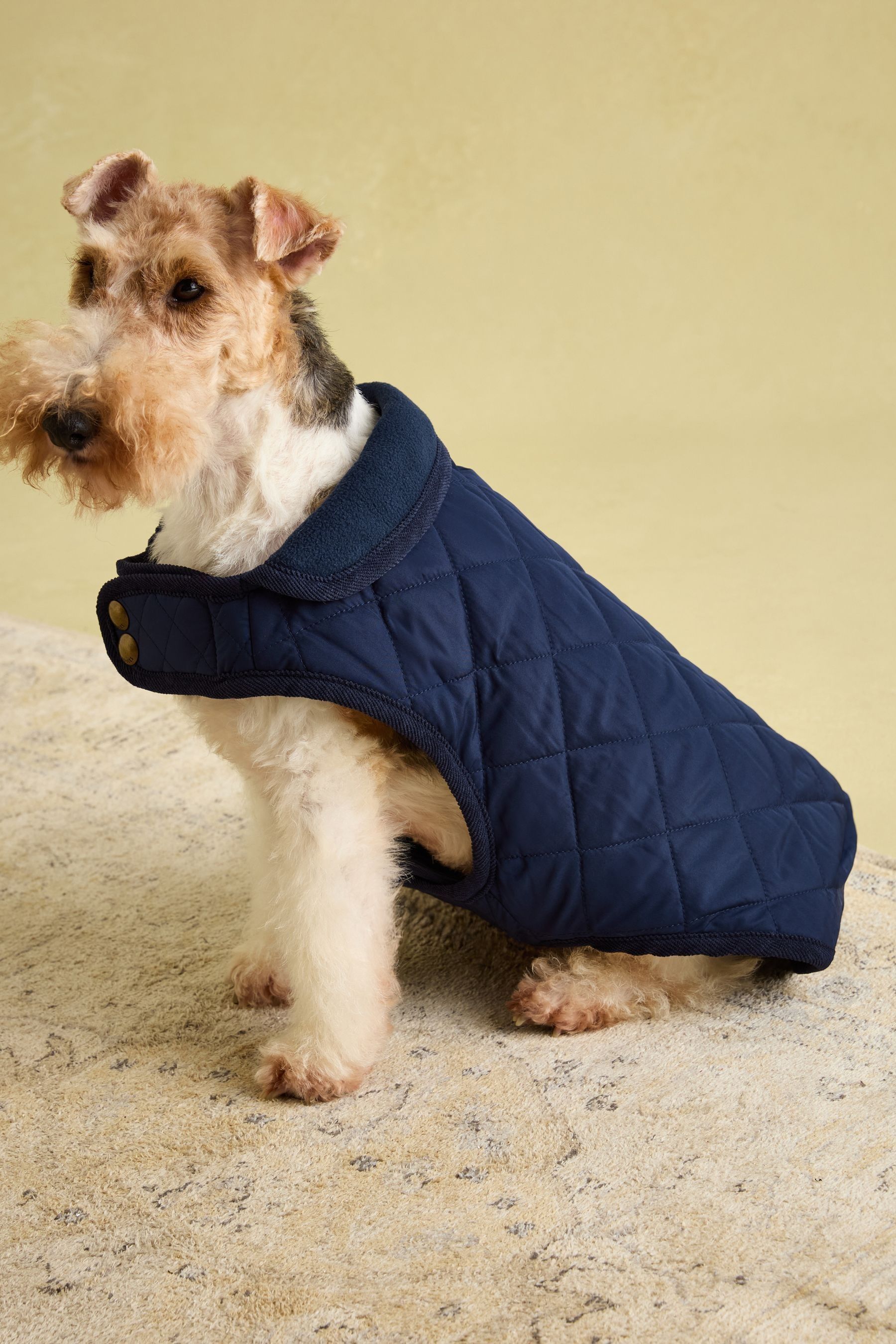 Navy Blue Quilted Dog Coat | Joules