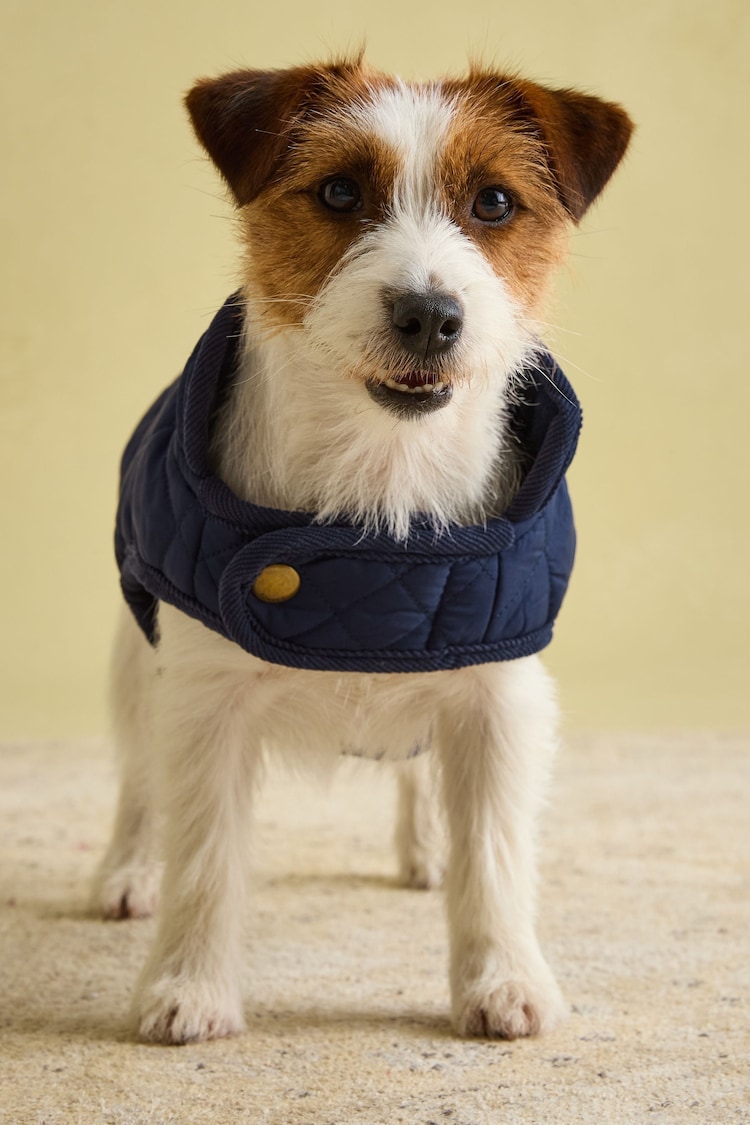 Navy Blue Quilted Dog Coat | Joules