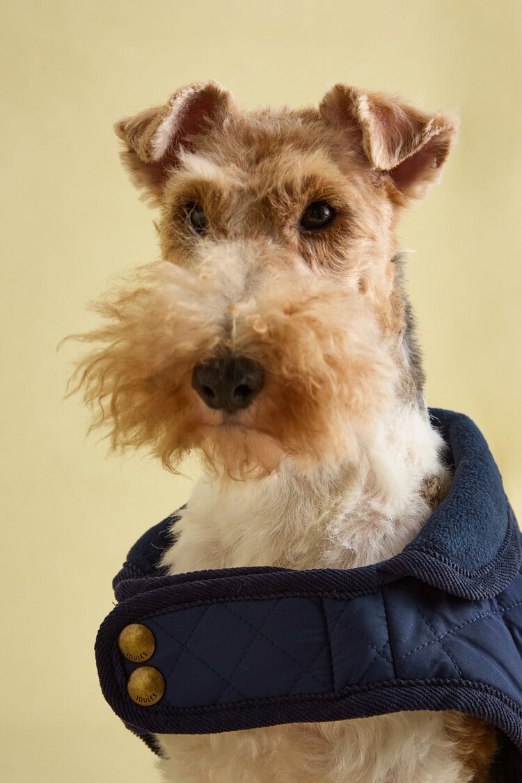Navy Blue Quilted Dog Coat | Joules
