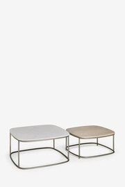 Light Grey Marble Mango Wood Nest of 2 Coffee Table Nest - Image 10 of 10
