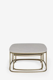 Light Grey Marble Mango Wood Nest of 2 Coffee Table Nest - Image 8 of 10
