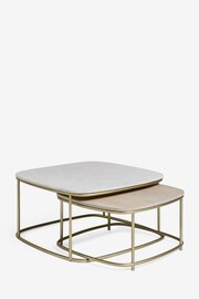 Light Grey Marble Mango Wood Nest of 2 Coffee Table Nest - Image 9 of 10