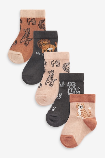 Brown Lion Baby Socks 5 Pack (0mths-2yrs)