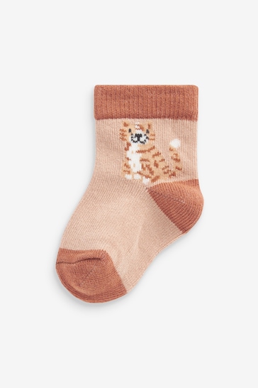 Brown Lion Baby Socks 5 Pack (0mths-2yrs)