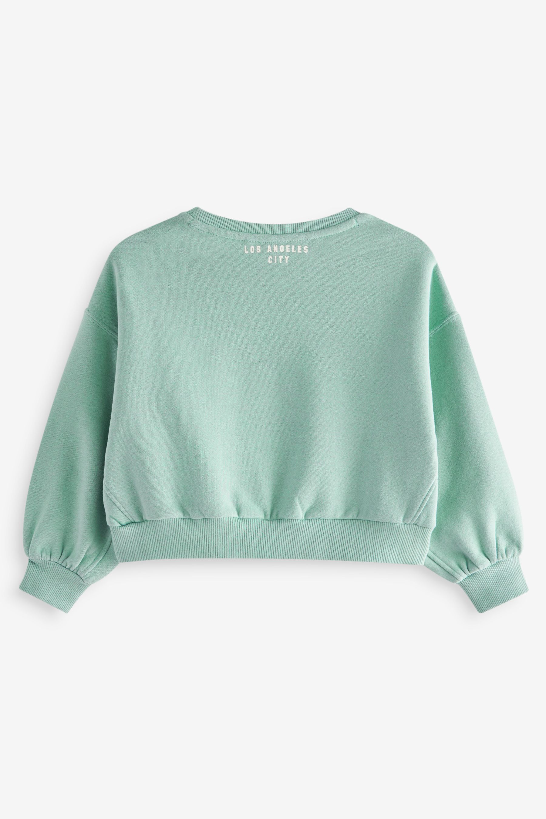 Buy Mint Green Slogan Sweatshirt 3 16yrs from Next Oman