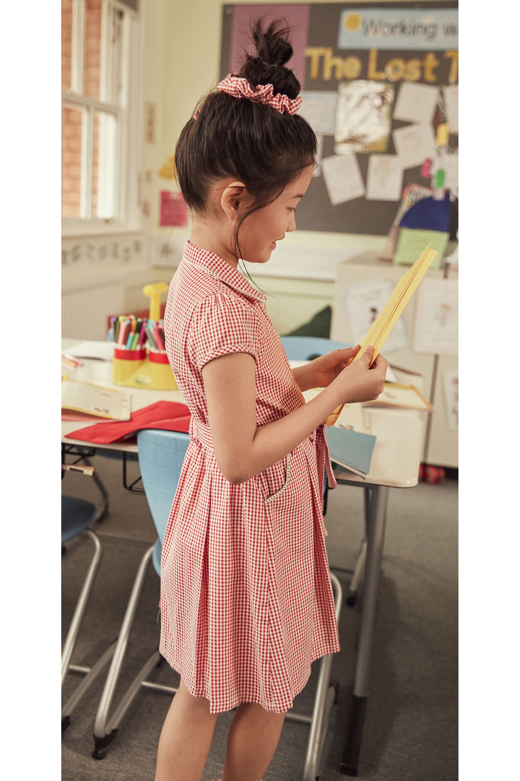 Red gingham deals school dress