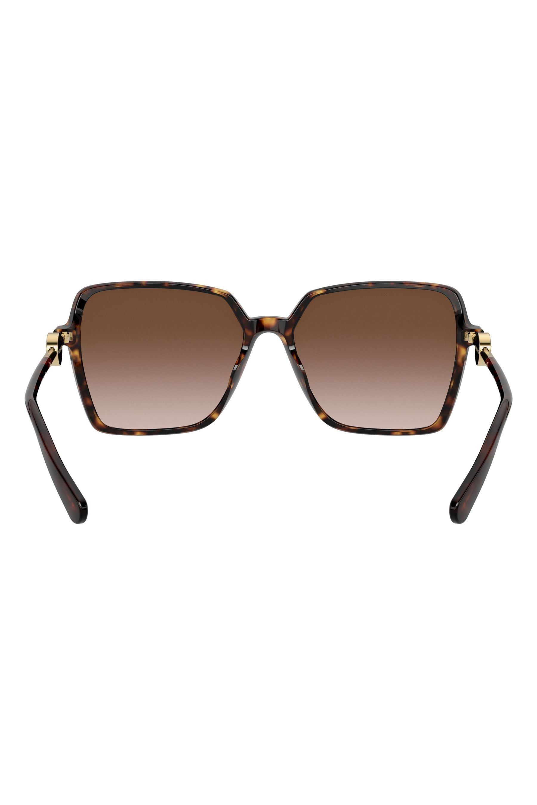 Buy Versace Brown Enamel Medusa Sunglasses from the Next UK online