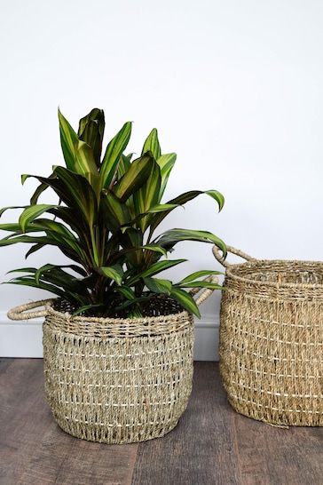 Ivyline Set of 2 Natural Seagrass Lined Baskets