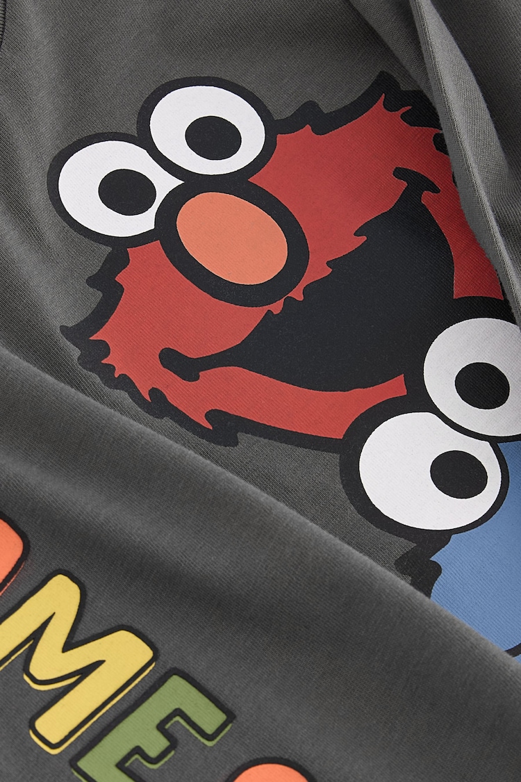 Charcoal Grey 100% Cotton Long Sleeve Sesame Street T-Shirt (3mths-8yrs) - Image 3 of 3