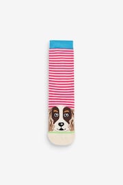 United Odd Socks Multi Pawsome Dogs Pawsome Socks - Image 4 of 9