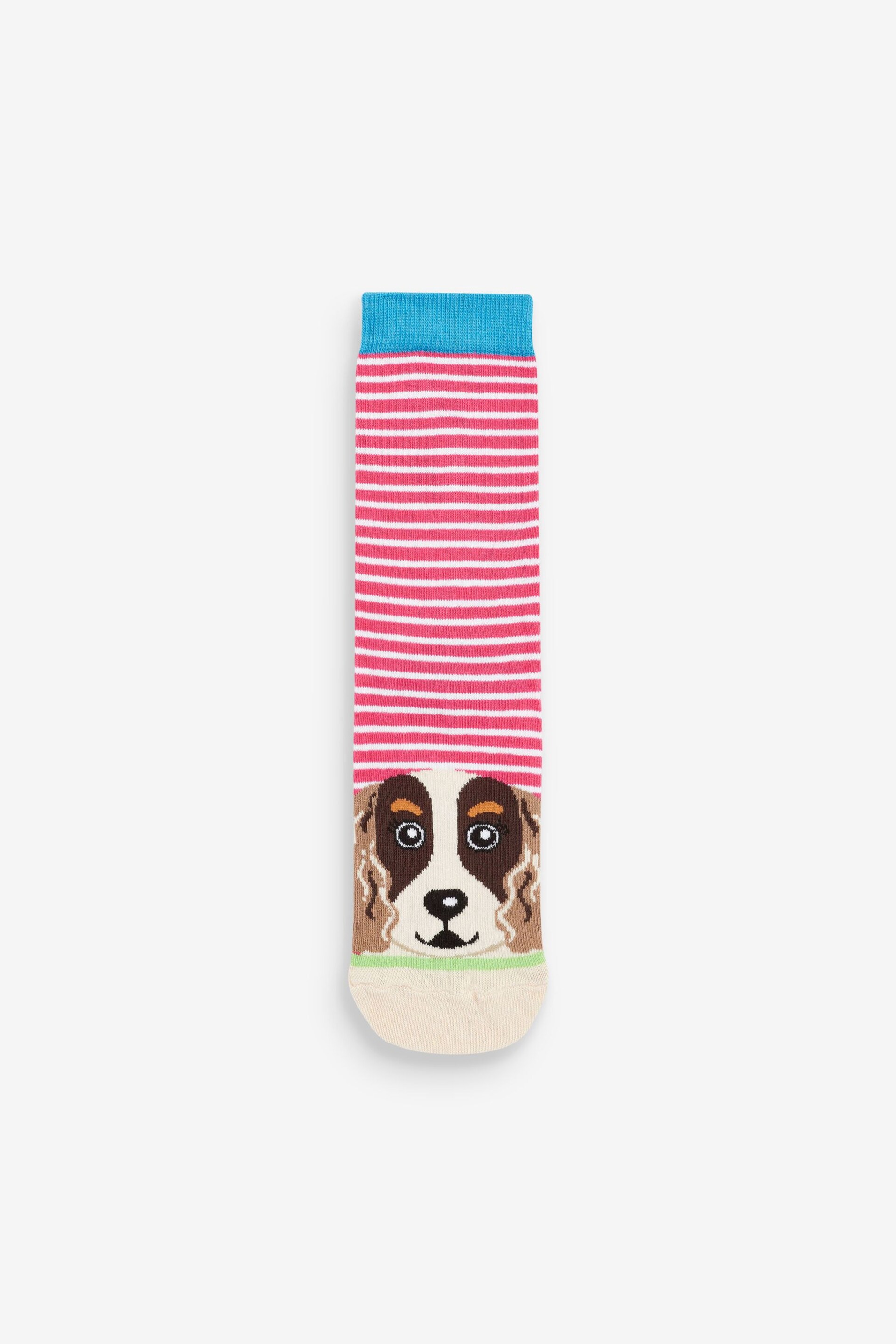 United Odd Socks Multi Pawsome Dogs Pawsome Socks - Image 4 of 9