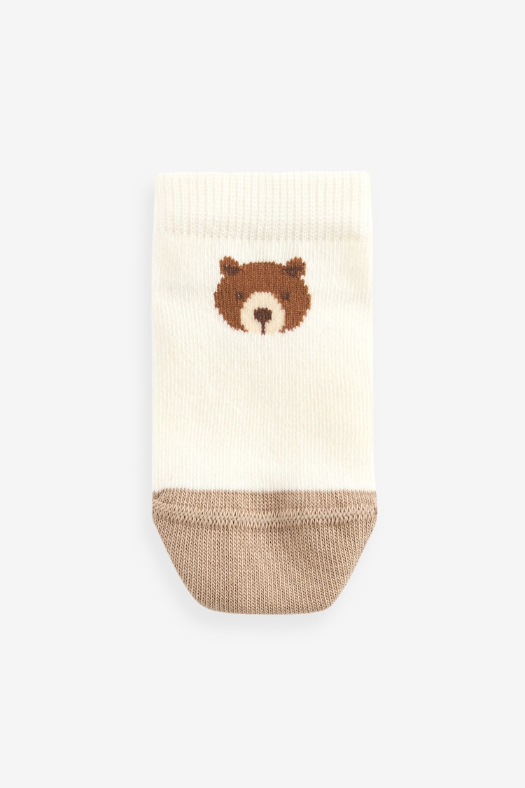 Neutral/Blue Bears Cotton Rich Trainer Socks 7 Pack - Image 8 of 8