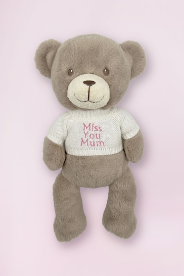 Mother' Day Frankie Bear Soft Toy - Miss You