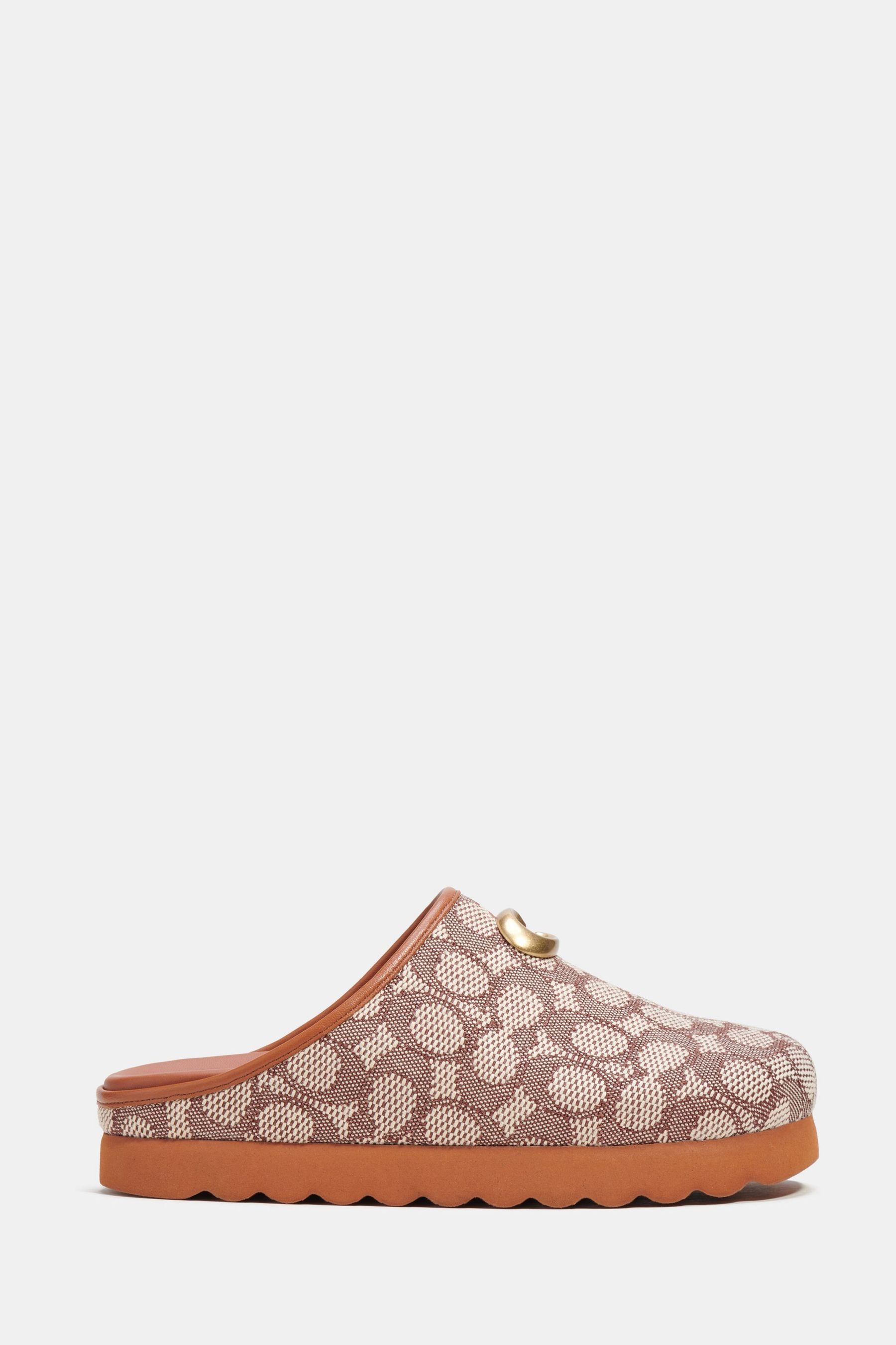 Buy COACH Hadley Slippers from Next Ireland
