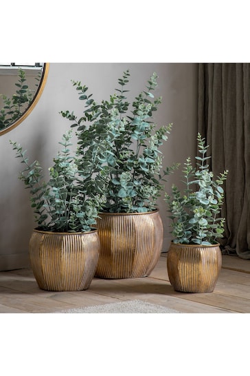 Gallery Home Gold Potted Eucalyptus Bush H920mm