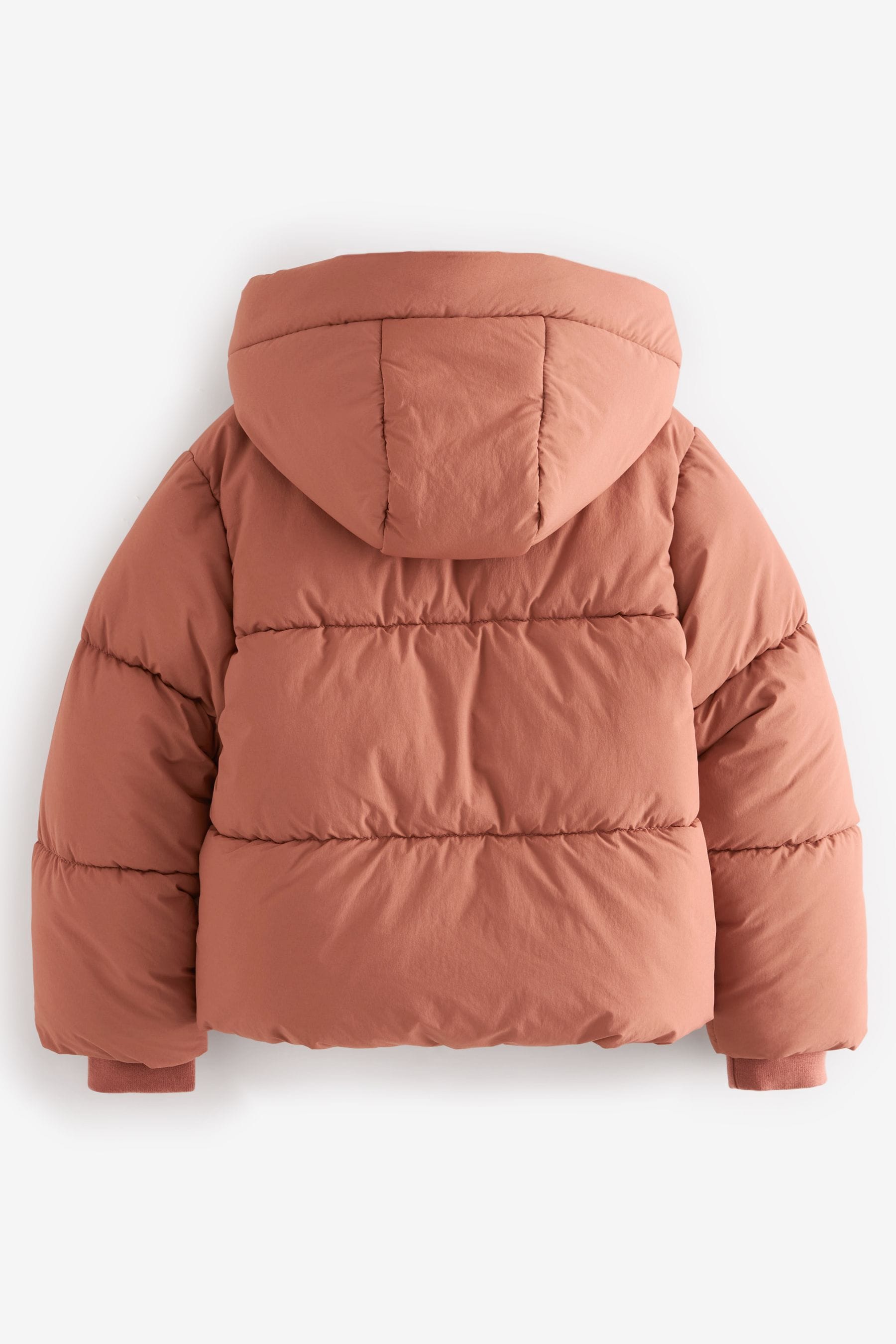 Next rust coat online