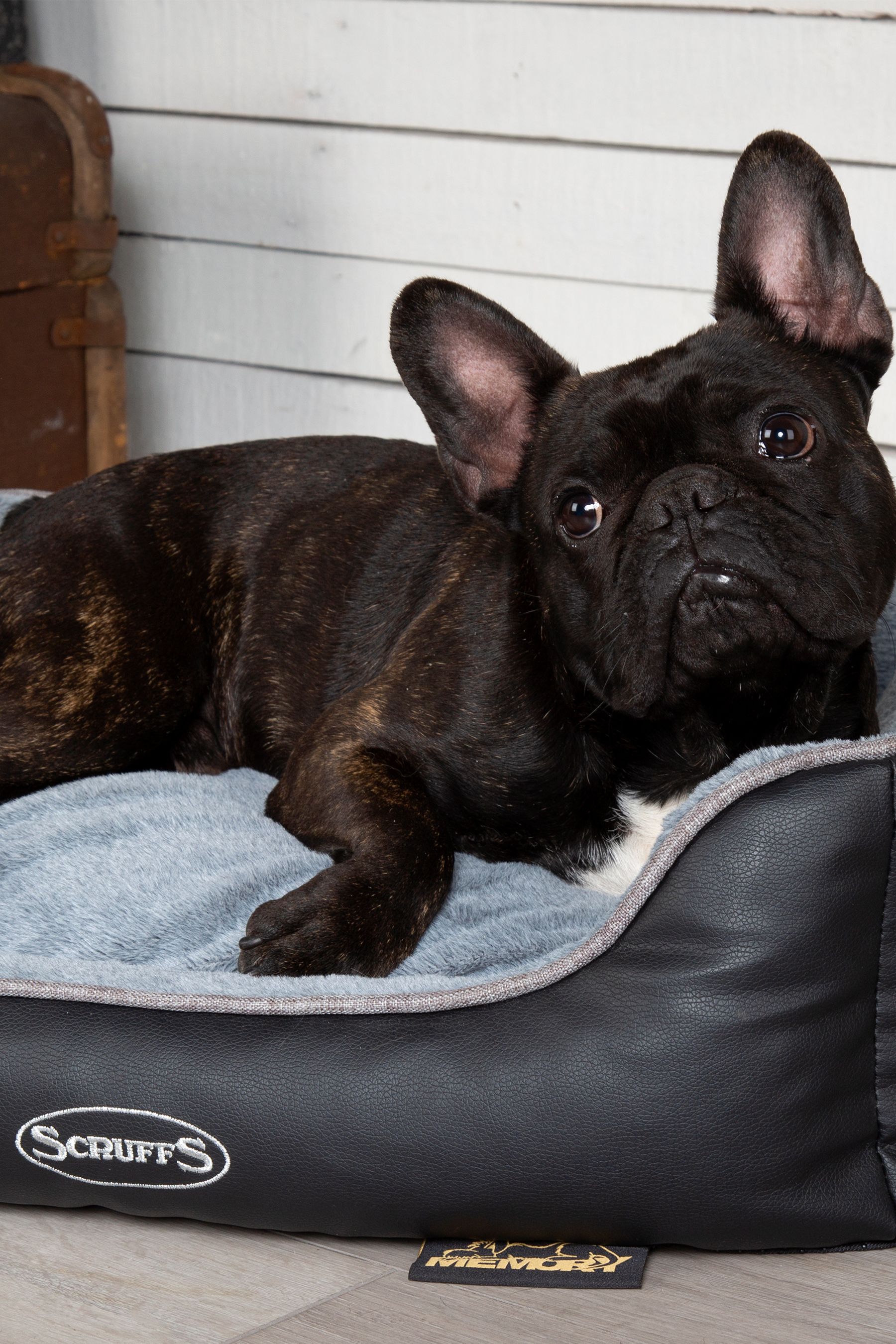 Buy Scuffs Grey Medium Chateau Memory Foam Orthopaedic Dog Box Bed