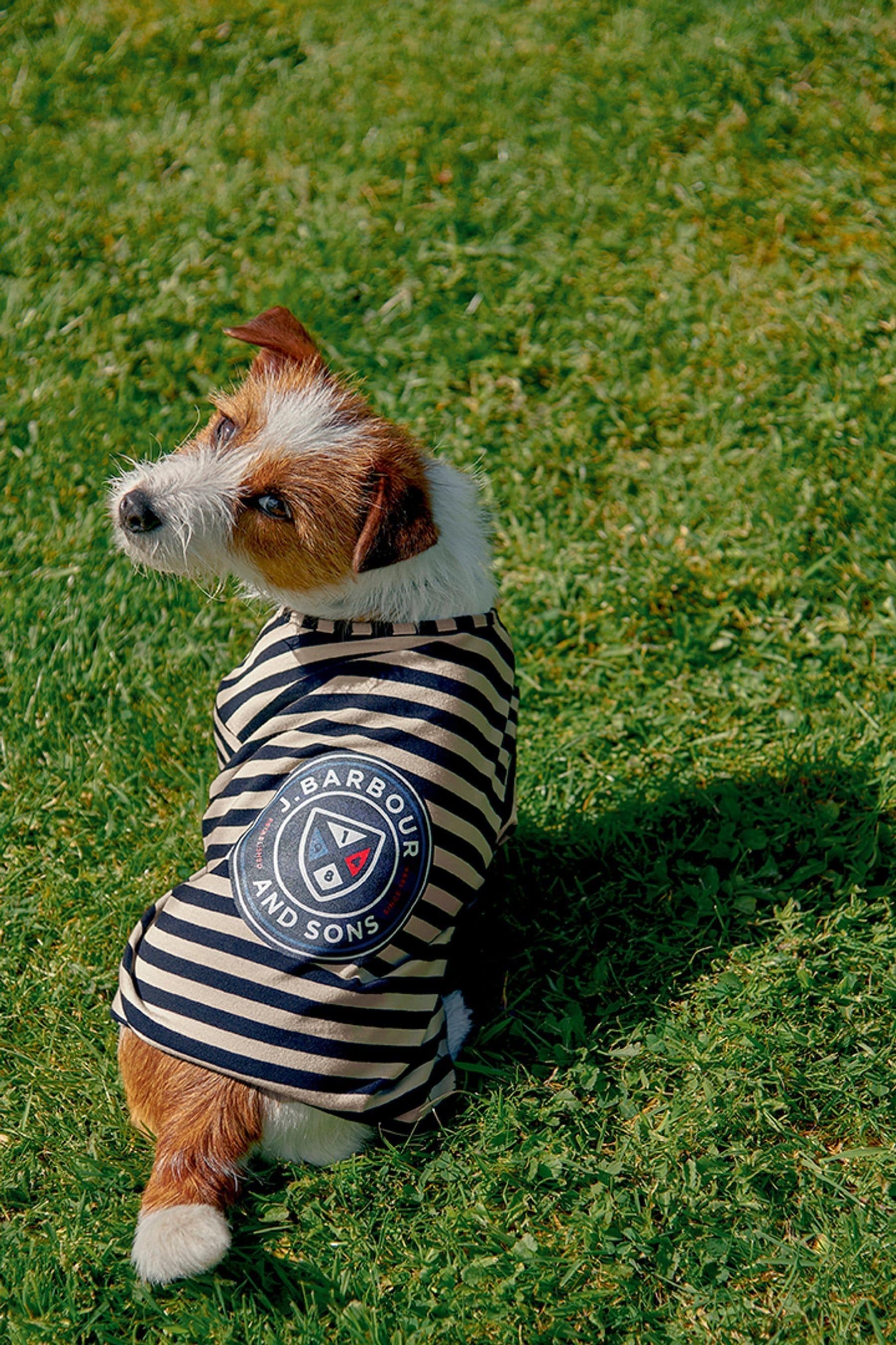 Buy Barbour Navy 100 Cotton Stripe Dog Jumper from the Next UK online shop