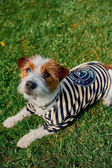 Barbour® Navy Stripe Dog Jumper