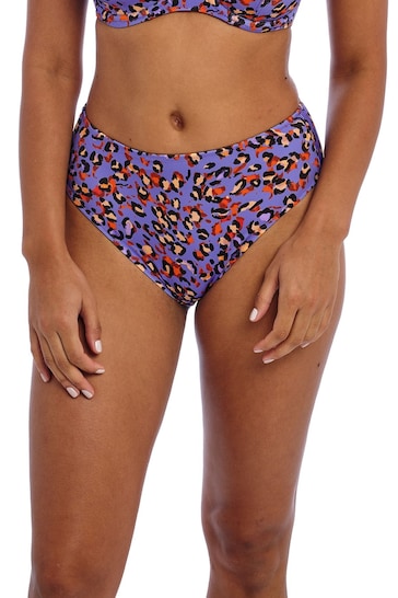 Freya Multicolour Leopard Pritn Santiago Nights High Waist Bikini Bottoms