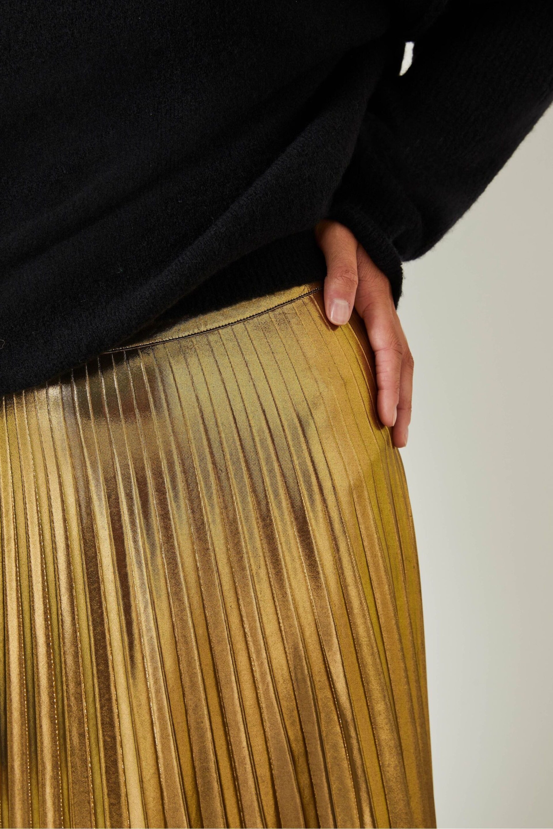 Hush Gold Raven Pleated Maxi Skirt - Image 4 of 5