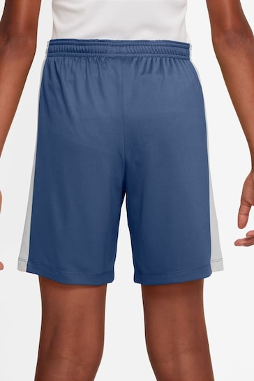 Nike Blue/White Dri-FIT Academy Training Shorts
