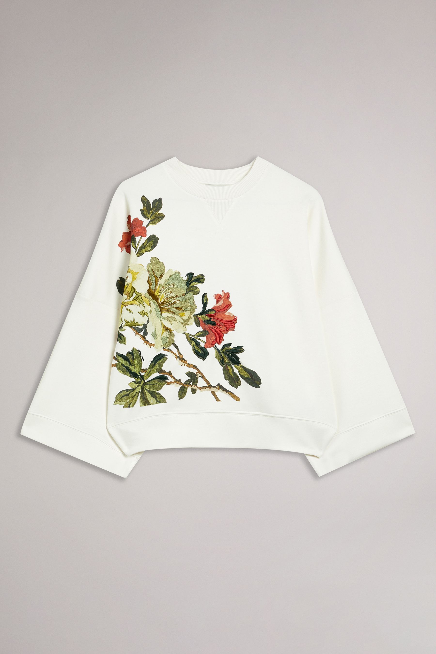Buy Ted Baker White Sweatshirt With Embroidery from Next Luxembourg
