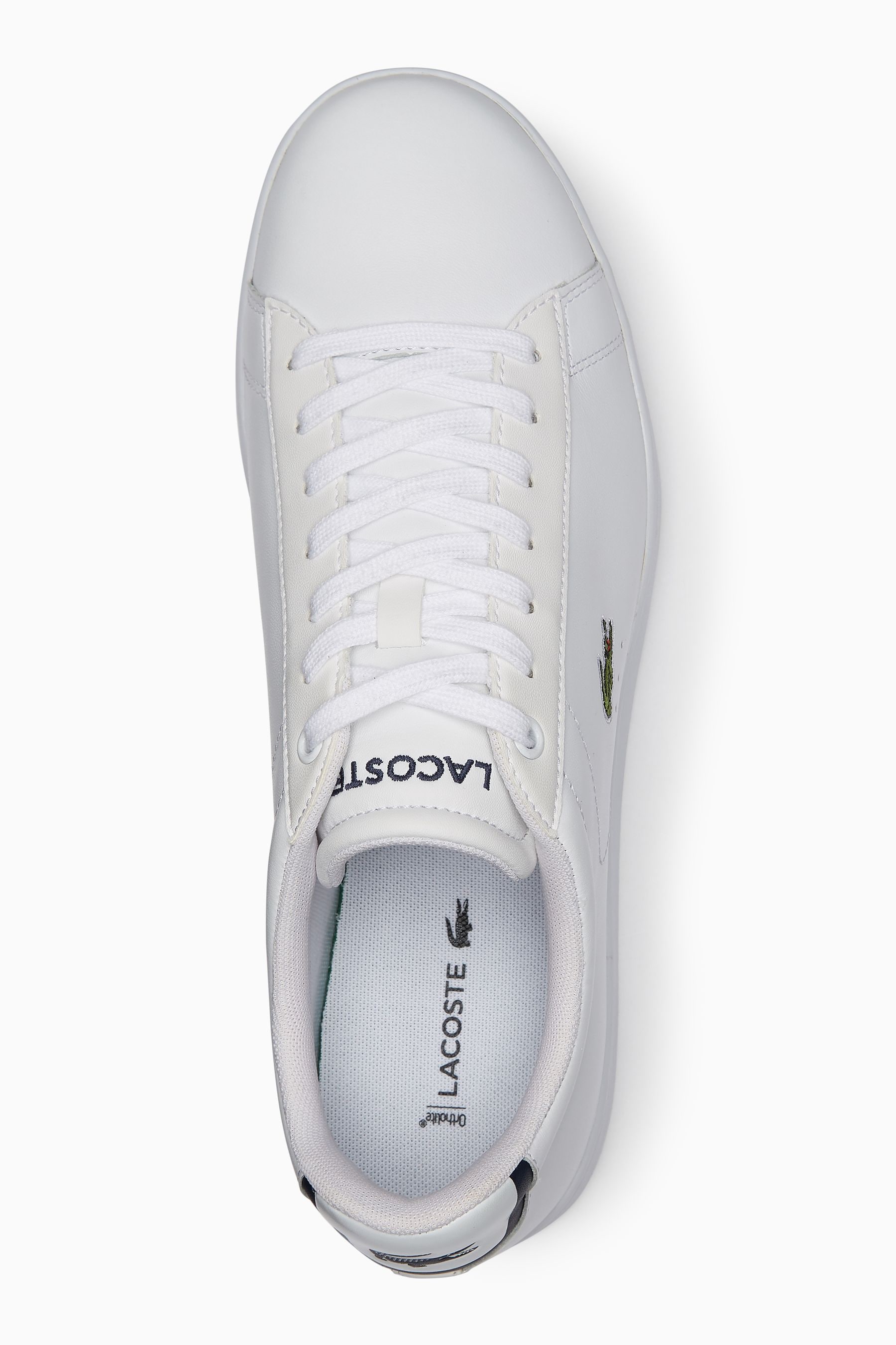 Lacoste carnaby evo scratch cheap