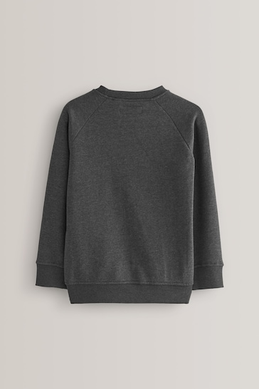 Charcoal 1 Pack Crew Neck School Sweater (3-17yrs)