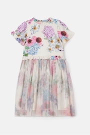 Angel & Rocket Cream Azalea Ballerina Print Dress - Image 4 of 6