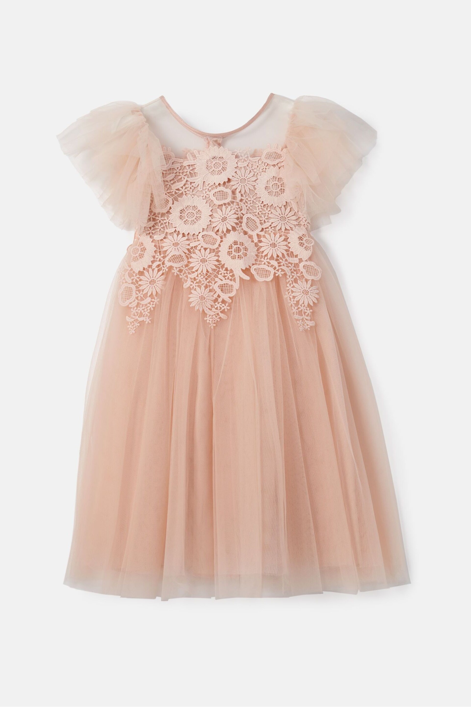 Angel & Rocket Pink Cascade Lace Anelise Dress - Image 7 of 9