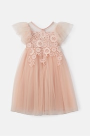 Angel & Rocket Pink Cascade Lace Anelise Dress - Image 8 of 9